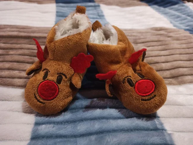 Пинетки, туфельки, сапожки зимние новогодние детские 10 см 11 см 12 см - Житомир, Житомирская область