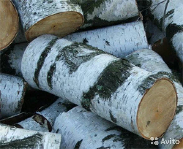 Продам дрова твёрдых пород Акацыя,дуб,берёза - Киев, Киевская область