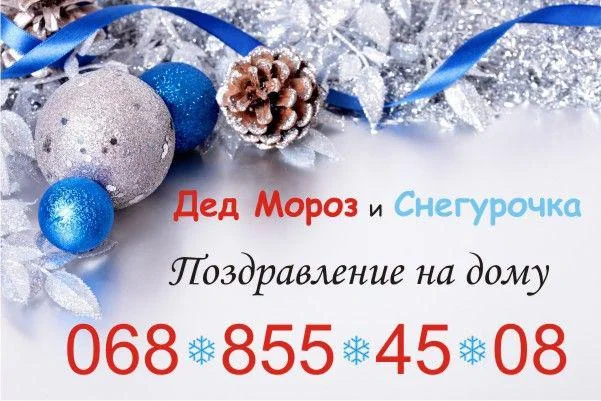Дед Мороз и Снегурочка. Поздравление у Вас дома - Днепр, Днепропетровская область