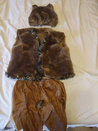 Новорічний костюм ведмедика - Смела, Черкасская область