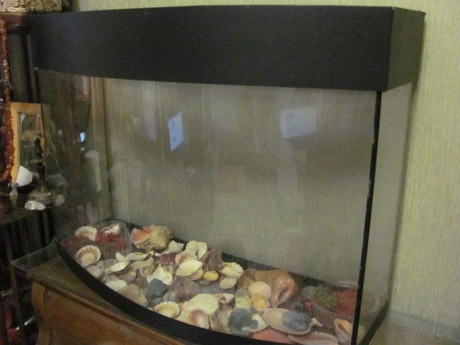 Продам аквариум на 70л с компрессором и светом, в подарок ракушки - Харьков, Харьковская область